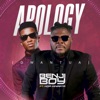 Apology (Dwantua) [feat. Kofi Kinaata] - Single