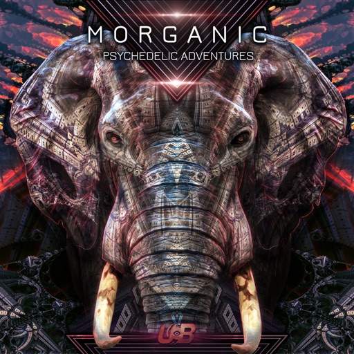 Psychedelic Adventures - Single by Morganic