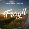 Frágil - Single