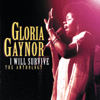 I Will Survive (Extended Version) - Gloria Gaynor