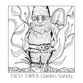 Taco Tapes - Stray Dog on the Road