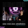 Una Voz, una Armónica - Single