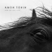 Amon Tobin - All Things Burn