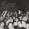 Descargar Liam Gallagher - C’MON YOU KNOW (Deluxe Edition) para tu celular gratis en MP3