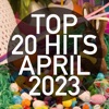 Top 20 Hits April 2023 (Instrumental)