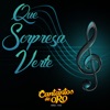 Que Sorpresa Verte - Single