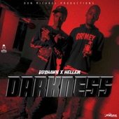 Darkness (feat. Hellem) artwork