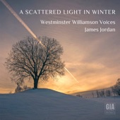 A Scattered Light in Winter artwork