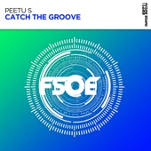 Catch the Groove artwork