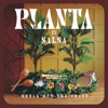 Break Out The Crazy - Planta (Versión Salsa)