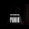 Panik (feat. NicoMusik) - Robin Schock lyrics