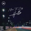 Nice To Say Hello - Single