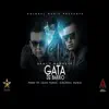 Gata de Barrio - Single album lyrics, reviews, download