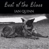 Best of the Blues - Single