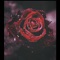 Ghetto Roses - Riq Havoc lyrics