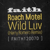 Wild Luv (Harry Romero Extended Remix) artwork