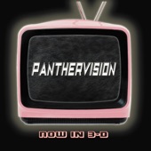 Panthervision - Through My Window