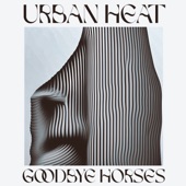 Goodbye Horses artwork