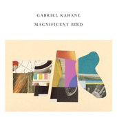 Gabriel Kahane - Hot Pink Raingear