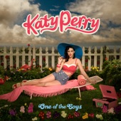 One Of The Boys (15th Anniversary Edition) artwork