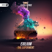 The Experiment (Extended Mix) artwork