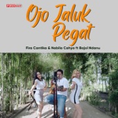 Ojo Jaluk Pegat (feat. Bajol Ndanu) artwork