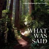 What Was Said (feat. Paul Fowler) - Single