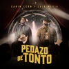 Pedazo de Tonto - Single