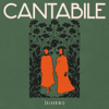 Cantabile (feat. Robertas Semeniukas) - Žalvarinis