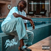 COCONUT WATA (SIP) artwork