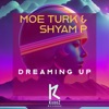 Dreaming Up - Single