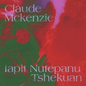 Iapit Nutepanu Tshekuan (Ce qui me manque) artwork