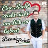 Eine Nacht reicht nicht um dich zu lieben - Single