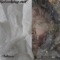 SleazyWorld Go - Ksplash & Money300 lyrics
