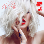 Never Forget My Love cover