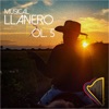 Musical Llanero, Vol.5, 2003