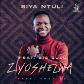 Zyoshelwa (feat. Big Zulu) artwork