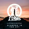Diamond In The Sky - Single album lyrics, reviews, download