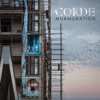 Murmuration - Single