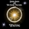 Derek Smith and the Cosmic Vultures - Waiting