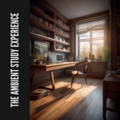 The Ambient Study Experience artwork