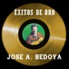 Éxitos de Oro