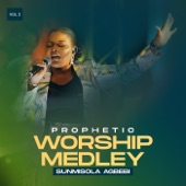 Prophetic Worship Medley, Vol. 2 artwork