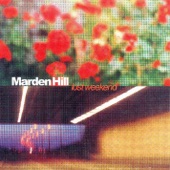 Marden Hill - Oh Constance