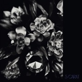5 Carat (feat. 唾奇, Ace the Chosen onE, RAITAMEN, サトウユウヤ & kiki vivi lily) artwork