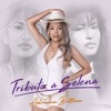Tributo a Selena (Cover) - Single