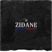 ZIDANE artwork