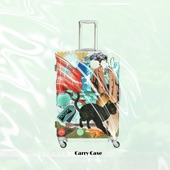 Carry Case artwork