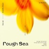 Rough Sea - Single