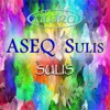 Aseq Sulis - Single